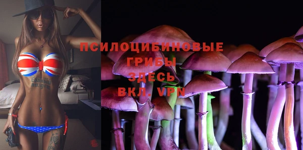 индика Абинск
