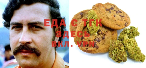 индика Абинск