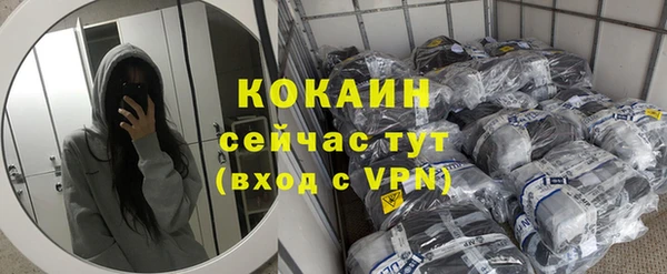 индика Абинск