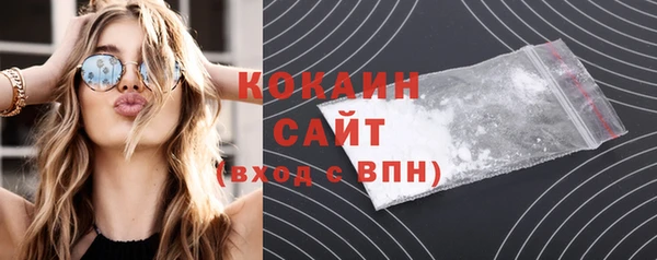 индика Абинск