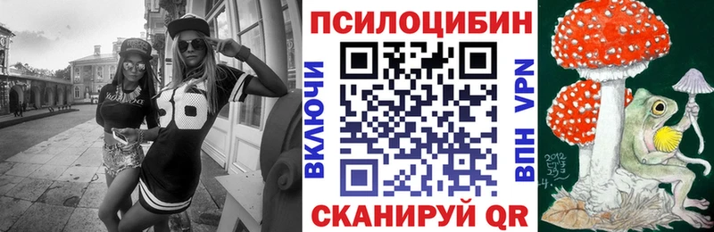 KRAKEN как войти  Юрга  Псилоцибиновые грибы Cubensis 