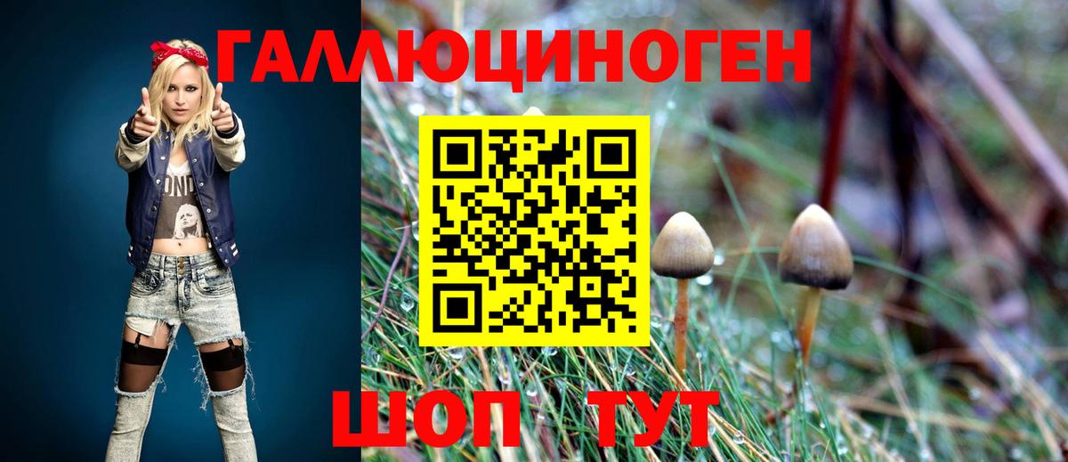Псилоцибиновые грибы Cubensis Юрга