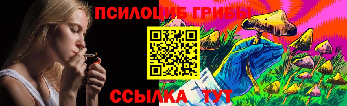 Галлюциногенные грибы GOLDEN TEACHER  Вход с VPN  Юрга 