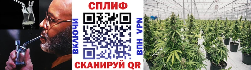 где купить наркотик Юрга Канабис THC 21%