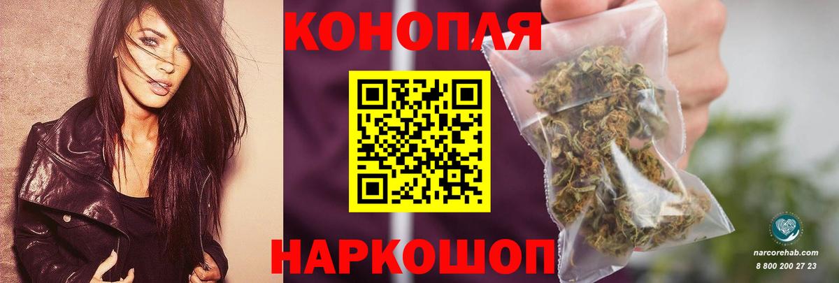 Каннабис сатива Юрга